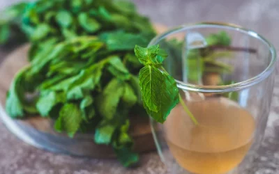 How to prepare spearmint tea: A comprehensive guide