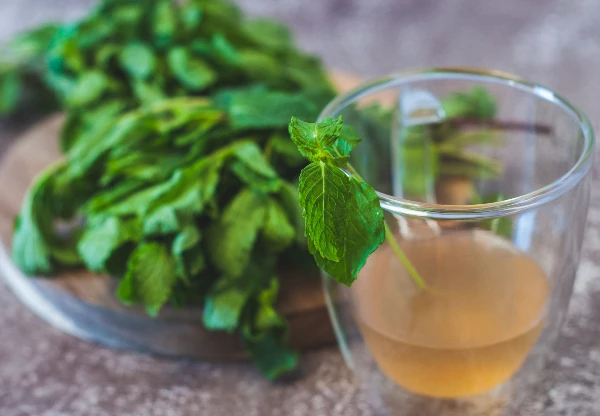 a cup of spearmint tea with spearmint leafes