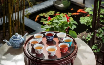 A comprehensive guide to the diverse world of chinese teas