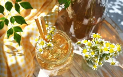 the ultimate guide to chamomile iced tea: benefits, recipes, and preparation methods