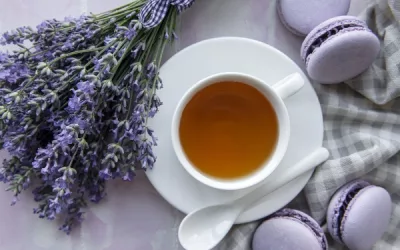 The ultimate guide to Lavender tea: preparation, culture and safety