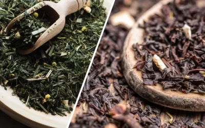 a comprehensive comparison of black tea and green tea