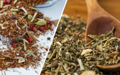 Green tea vs Rooibos: Which tea is better for your health?