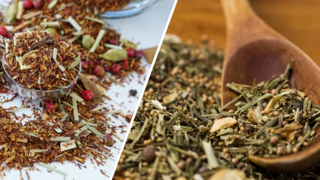 green tea vs rooibos tea