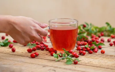 the ultimate guide to making and enjoying rosehip tea