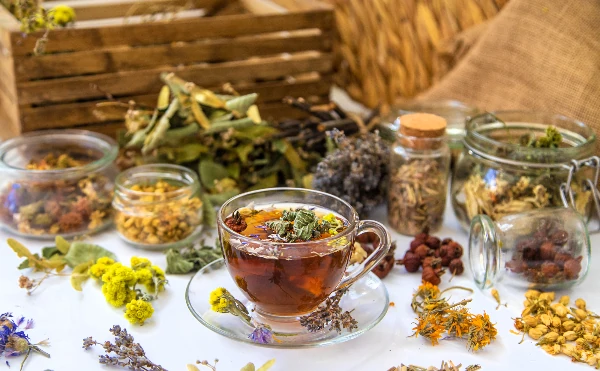 herbal tea with medicinal herbs and flowers