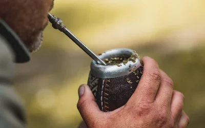 Mate tea: Exploring the rich culture and health benefits