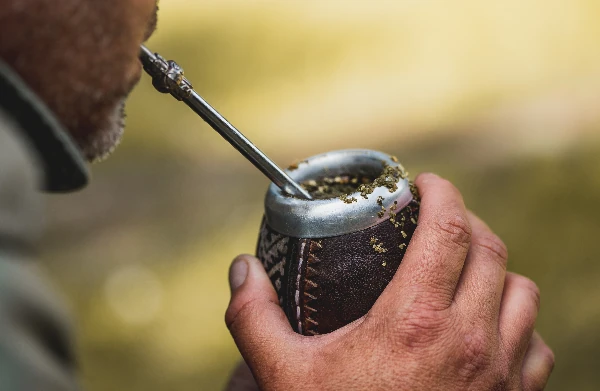 man drinking yerba mate tea