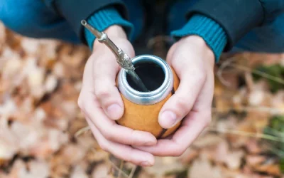 Understanding the caffeine content of Yerba mate tea and its health implications