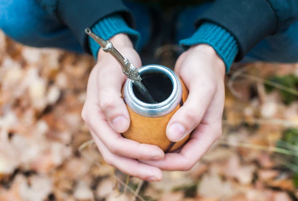 man drinking yerba mate with caffeine