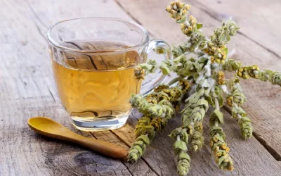 Everything you need to know about Mullein tea: flavour, preparation, and safety