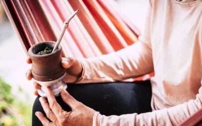 Understanding the unique taste of mate tea: a comprehensive guide