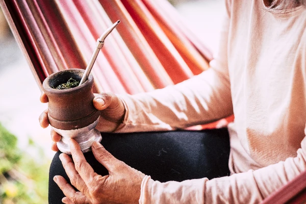 Understanding the unique taste of mate tea: a comprehensive guide