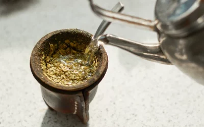 Yerba Mate tea: benefits, preparation, and cultural significance