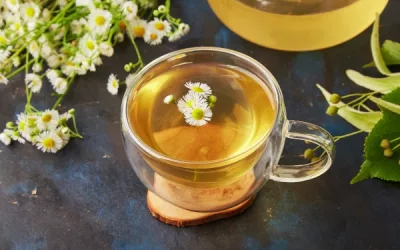 the ultimate guide to finding the best chamomile tea for relaxation