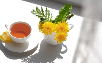 the ultimate guide to making dandelion tea: benefits, recipes, and tips