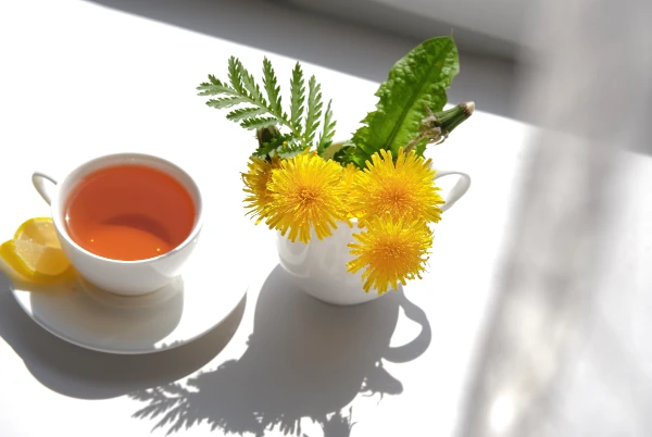 cup of dandelion tea and dandelion flowers