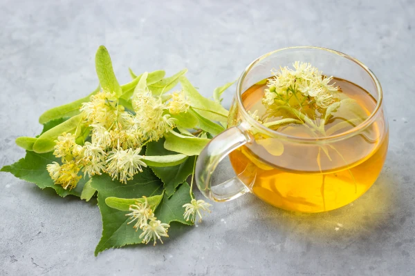 cup of fresh herbal Linden tea with Linden blossom