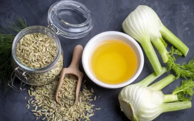 The comprehensive guide to fennel tea: benefits, risks, and uses