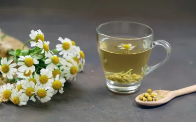 does chamomile tea contain caffeine? uncovering the truth and its health benefits