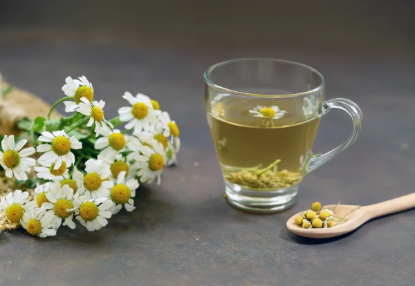 herbal chamomile tea in a cup on the table