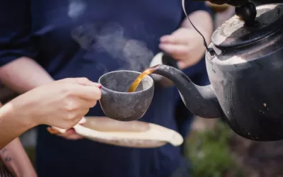 everything you need to know about kava tea: cultural significance, benefits, and risks