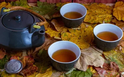 how to make tea stronger: expert tips and techniques