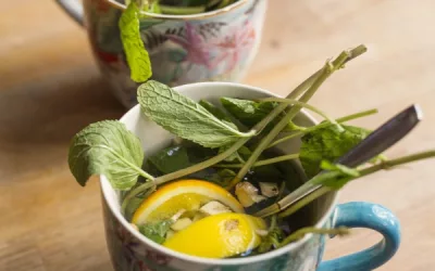 The ultimate guide to lemon balm tea: benefits, preparation, and risks