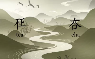 the fascinating etymology of tea: tracing its roots and cultural significance